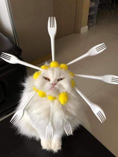 a white cat sitting on top of a table with forks and spoons attached to it