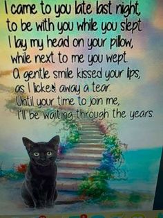 a black cat sitting on top of a wooden floor next to a sign that says, i came to you late last night to be with you while you