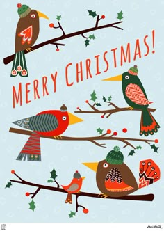 three birds sitting on top of a tree branch with merry christmas written in the middle