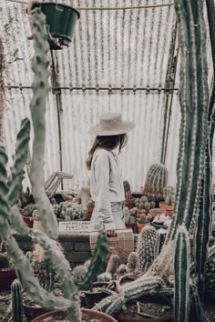 a woman standing in a greenhouse surrounded by cacti and succulents