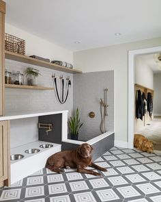 a brown dog laying on top of a tiled floor next to a sink and oven