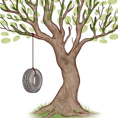 a tree with a tire hanging from it