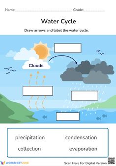 the water cycle worksheet for kids to learn how to draw and label it