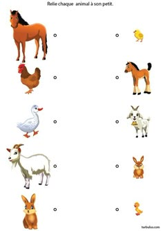 an animal and other animals are shown in this worksheet for children to learn