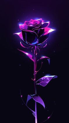 a purple rose on a black background with pink and blue lights in the dark room