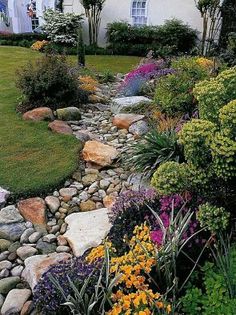 an image of a garden with rocks and flowers on it, in the foreground