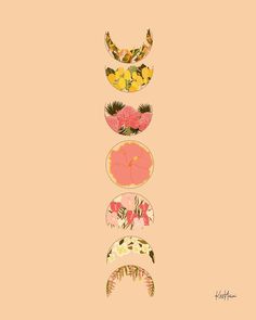 four different types of fruit are arranged in a row on a pink background with the words,