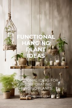 a shelf with plants hanging from it and the words functional hanging plant ideas