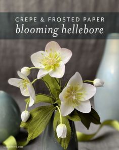 a vase filled with white flowers on top of a table