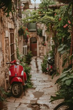 Red Vespa parked in European alleyway with green vines and flowering plants, evoking vintage ambiance. European Alleyway, Italian Lifestyle Aesthetic, Italian Villa Aesthetic, Vintage European Aesthetic, Vintage Italian Aesthetic, 10 Days In Italy, Vacation Images, Mountains Aesthetic