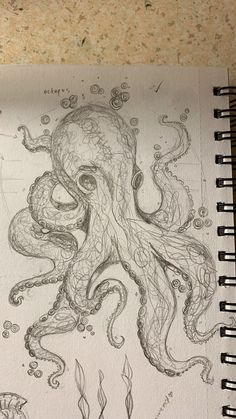 Octopus, Still Life, Art