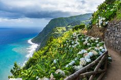 a scenic view of the ocean with flowers growing on the hillside and in the foreground