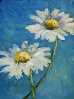 two white daisies on a blue background