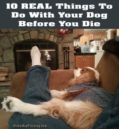 a dog laying on top of a couch next to a person with their feet up