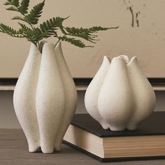 three white vases sitting on top of a book next to a fern leaf plant