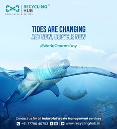 an ad for recycling hub featuring a shark and plastic bottles floating in the ocean with words tides are changing act now, recycle now