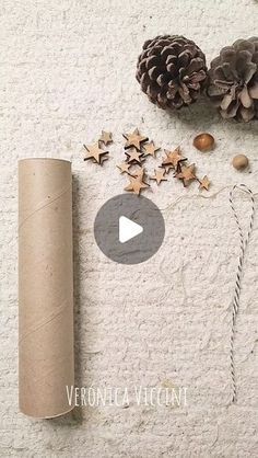 a roll of toilet paper sitting on top of a white carpet next to pine cones