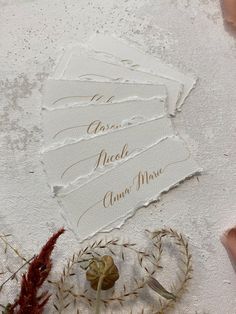 three pieces of paper with writing on them next to some dried flowers and leaves in the sand