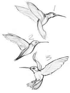 three hummingbirds are flying in the air with their beaks open and wings extended