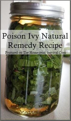 Poison Ivy Remedies, Diy Remedies, The Homestead, Homestead Survival, Natural Therapy, Natural Remedy