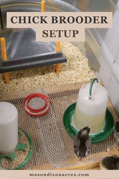 a hamster in a cage with the words chicken broder setup