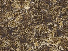 Leopardo Incognito Wallpaper in Alessia Leopard Print Wallpaper, Wallpaper Adhesive, Animal Print Wallpaper, Strong Character, 1% Wallpaper, Forward Thinking, Wallpaper Pattern, Beautiful Wallpaper, Burke Decor