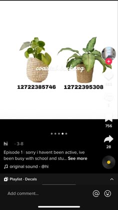 an iphone screen with two potted plants on the left and one plant on the right