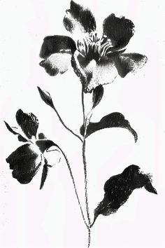 a black and white drawing of a flower