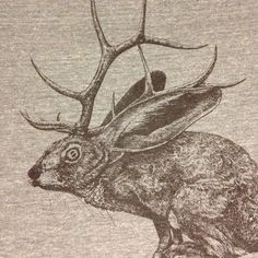 a drawing of a deer with antlers on it's head