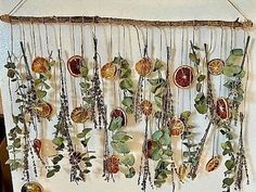 a bunch of dried fruit hanging on a wall