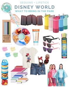 various items from the disney world with text overlay that says, what to bring in the park