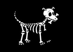 a skeleton dog is shown in white on a black background with the words,'i love