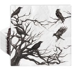 black and white photograph of birds perched on dead tree branches with paper napkins in front