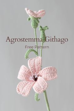 a crocheted flower with the words agrostemma gittago free pattern