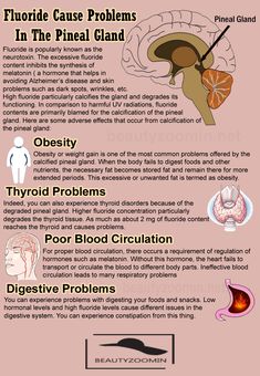 Digestive Problems, Eye Vitamins, Pineal Gland, Spirit Science, The Third Eye, Endocrine System, 3rd Eye