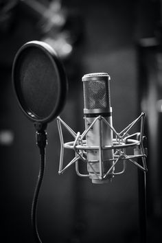 a black and white photo of a microphone