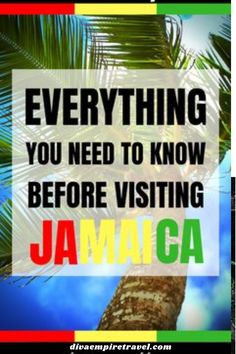 a palm tree with the words, everything you need to know before visiting jamaica