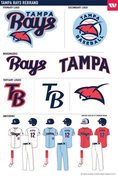 the tampa rays and tampa bay area baseball teams are depicted in this graphic style poster