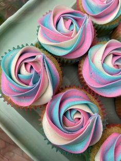 cupcakes with pink and blue frosting on a plate