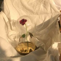 a single flower in a glass vase with water on the bottom and white fabric behind it