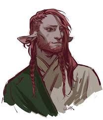 Drawing, bust-view of bearded Firbolg with braids and a tunic Shepherd Druid, Firbolg Male, Human Structure, Caduceus Clay, Dnd Npc, Critical Role Characters, Roleplay Characters