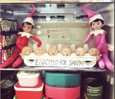 two elfs with eggs in an egg carton, and the caption is egggetted for santa?