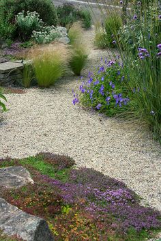 a garden with rocks and flowers in it