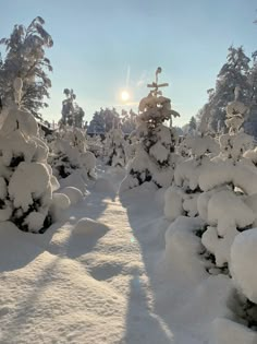 the sun shines through the snow covered trees