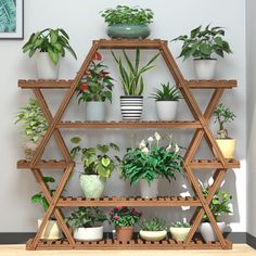 a cat sitting on top of a wooden shelf filled with potted plants and houseplants