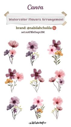 watercolor flowers arranged in different colors and sizes