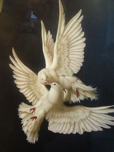 two white doves are flying in the air