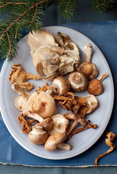 a white plate topped with lots of different types of mushrooms on top of a blue table cloth