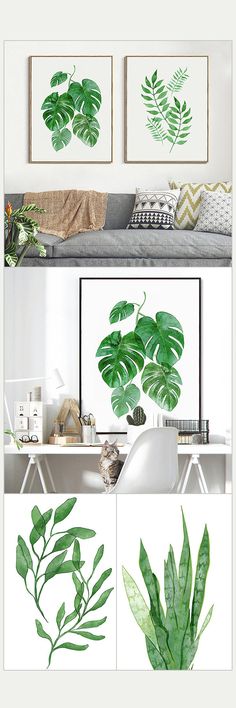 three green plants are displayed on the wall next to each other in this living room