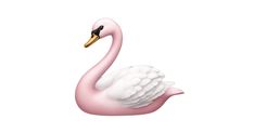 a pink and white swan is floating in the water